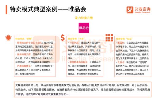 艾媒報告 2018中國B2C電商市場監測報告